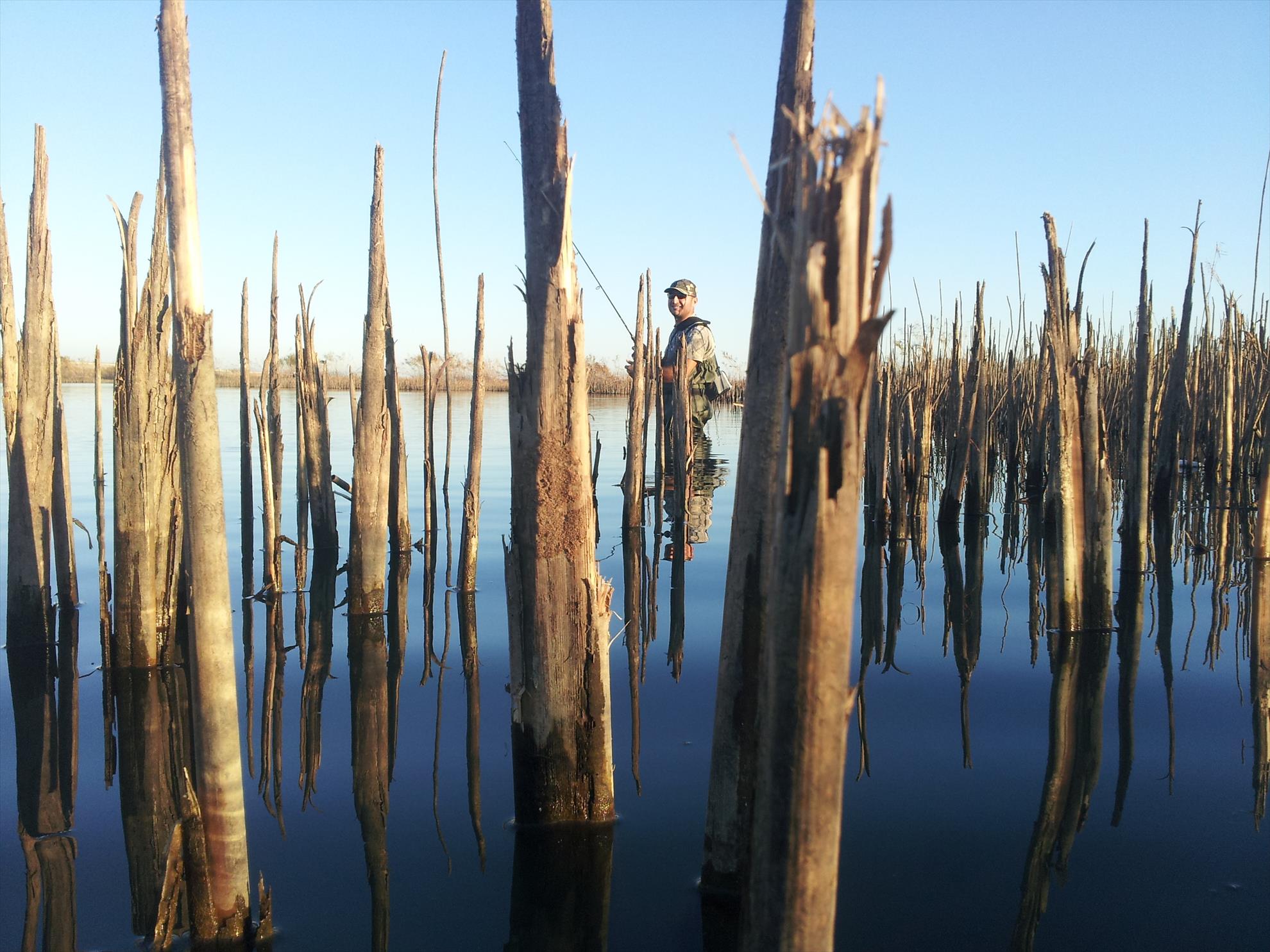 RAPITOR - 20131212185410.jpg